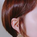 유달리아 이미지