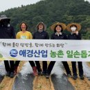 산업