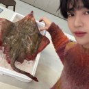 편식당 티스토리