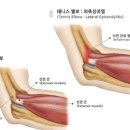 알파필라테스 네이버블로그