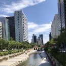 곰국시집 이미지