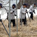 '군포 여대생 실종' 공개수사 이미지