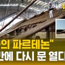 AI 시대에 이걸 다 손으로?..장인들의 종묘 정전 복원기 이미지