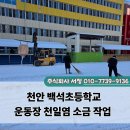 백석초등학교 | 천안 백석초등학교 운동장 소금 작업 후기, 천일염으로 관리한 현장 이야기