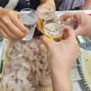 고성횟집 | 고성 회센터 [돌고래횟집] 강원도 고성 횟집 자연산만 취급하는 횟집 다녀온 후기