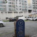 펜톤나인 이미지