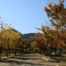 가창체육공원 이미지