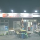 레드퀸 | 여수 돌문어낚시 졸업식(레드퀸호)후기