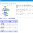 서인사거리 Daum카페