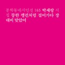 바가지 머리 이미지