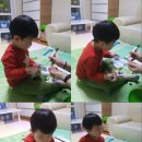 반성건어물