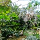 부천호수식물원 수피아 이미지