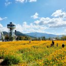 황산공원 족구장 이미지
