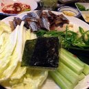 다미포차 이미지