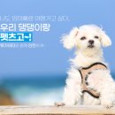 뽑기의 신(영월터미널점) | 도우랑 펫츠고 2023 영월 댕댕캠프 후기 | 영월 반려동물 동반여행, 캠핑