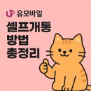 (유)희망케어 | [2025 최신] 유플러스 유모바일 셀프개통 방법과 준비물 총정리