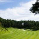 사임당로공원 이미지