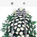 유*재 Daum카페
