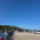 숲에서 온 유정란 | 경북영덕여행 영덕단풍 벌영리 메타세콰이어 숲 방문 후기