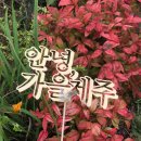 우주항공호텔 이미지