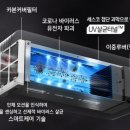 유일 효 태권도 이미지