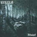 Der Tod Wuotans / The Death Of Wuotan - Burzum 이미지