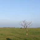 선양목장 이미지