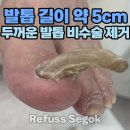 레푸스강남세곡점 이미지