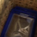 달펫 소동물샵 이미지