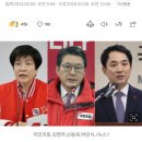 논두렁 앵커 서초을 단수공천 이미지