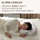 에이치비에스 | 슬립앤슬립 아이유 깊은잠 베개 S, 베개 유목민이 드디어 정착한 꿀잠 비밀