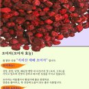 지리산한방식품 이미지