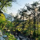 메아리산장 이미지