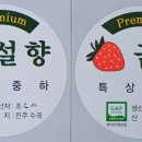 금실