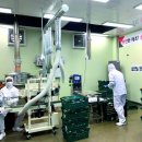 걸작떡볶이치킨 이미지