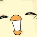 일지서적 이미지