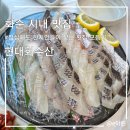 화순횟집 | 화순 맛집 "현대회수산" 점심에도 현지인들이 찾는 횟집 모듬회 후기
