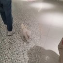 반자주 엘시티점 이미지