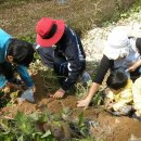 외갓집체험마을 이미지