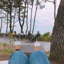 행님아흑돼지 | 제주2박3일 여행: 제주바다다, 산방산 유채꽃, 델문도카페, 해녀잠수촌