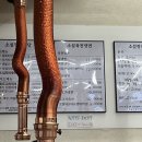 소설 정육식당 이미지