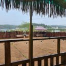 베일리하우스애견펜션 이미지