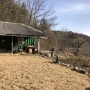 춘천숲펜션 이미지