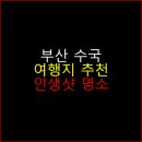 송림공원하상정(솔바람) | 부산 수국 여행지 추천 여름 인생샷 명소