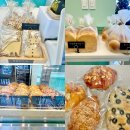 라임고양이 | 속초빵집 추천 라임베이커리 올리브치아바타 레드벨벳케이크