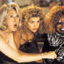 사랑이 꽃피는 약국 이미지