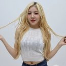 엔데이 이미지