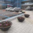 신장1동 행정복지센터 이미지