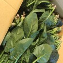 이기순농장 이미지