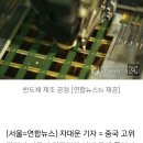 등소평의 판단이 정확했다-도광양회 이미지